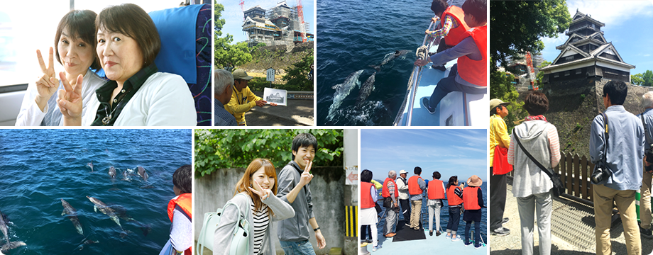 イルカウォッチング、熊本城、水前寺成趣園見学