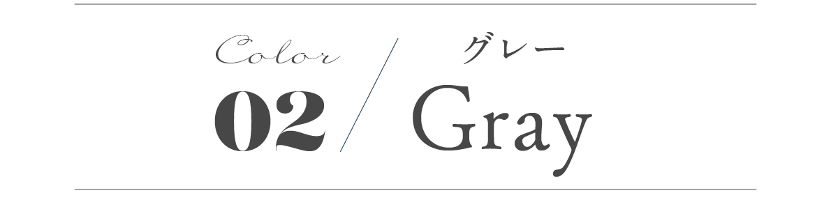 color02 Gray グレー