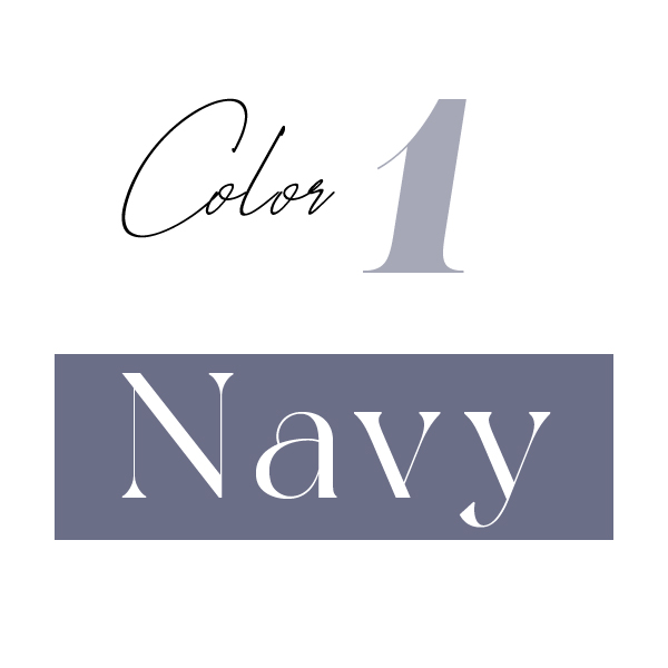 Item01. Navy