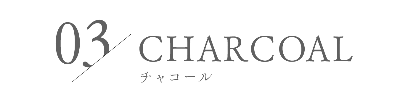 03 Charcoal チャコール