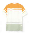 鹿の子調 パネルボーダー Tシャツ