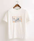 クロコダイル ワニアップリケTシャツ