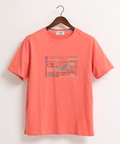 クロコダイル ワニアップリケTシャツ