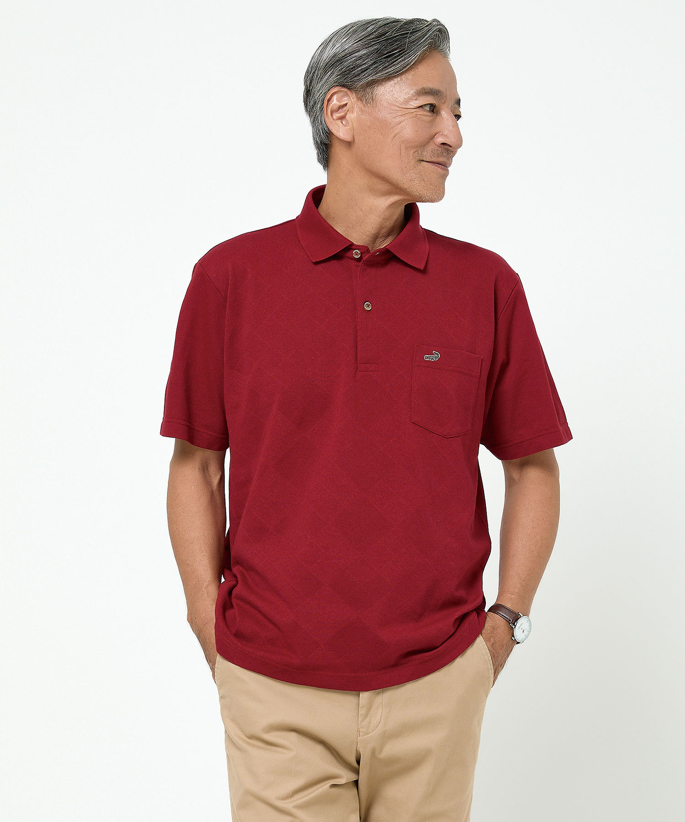 メンズ 鹿の子 デザイン ポロシャツ通販 [1602-54221] - クロコダイル