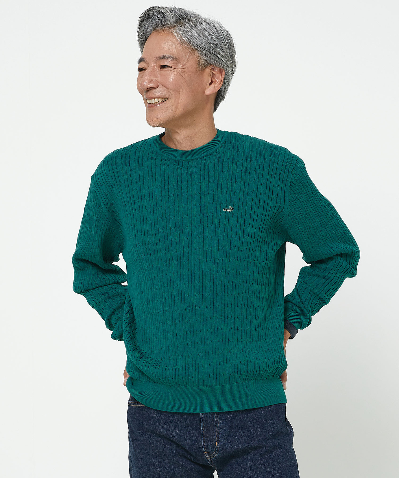 メンズ ハイゲージ ケーブル柄 クルーネック ニット【手洗いOK】通販