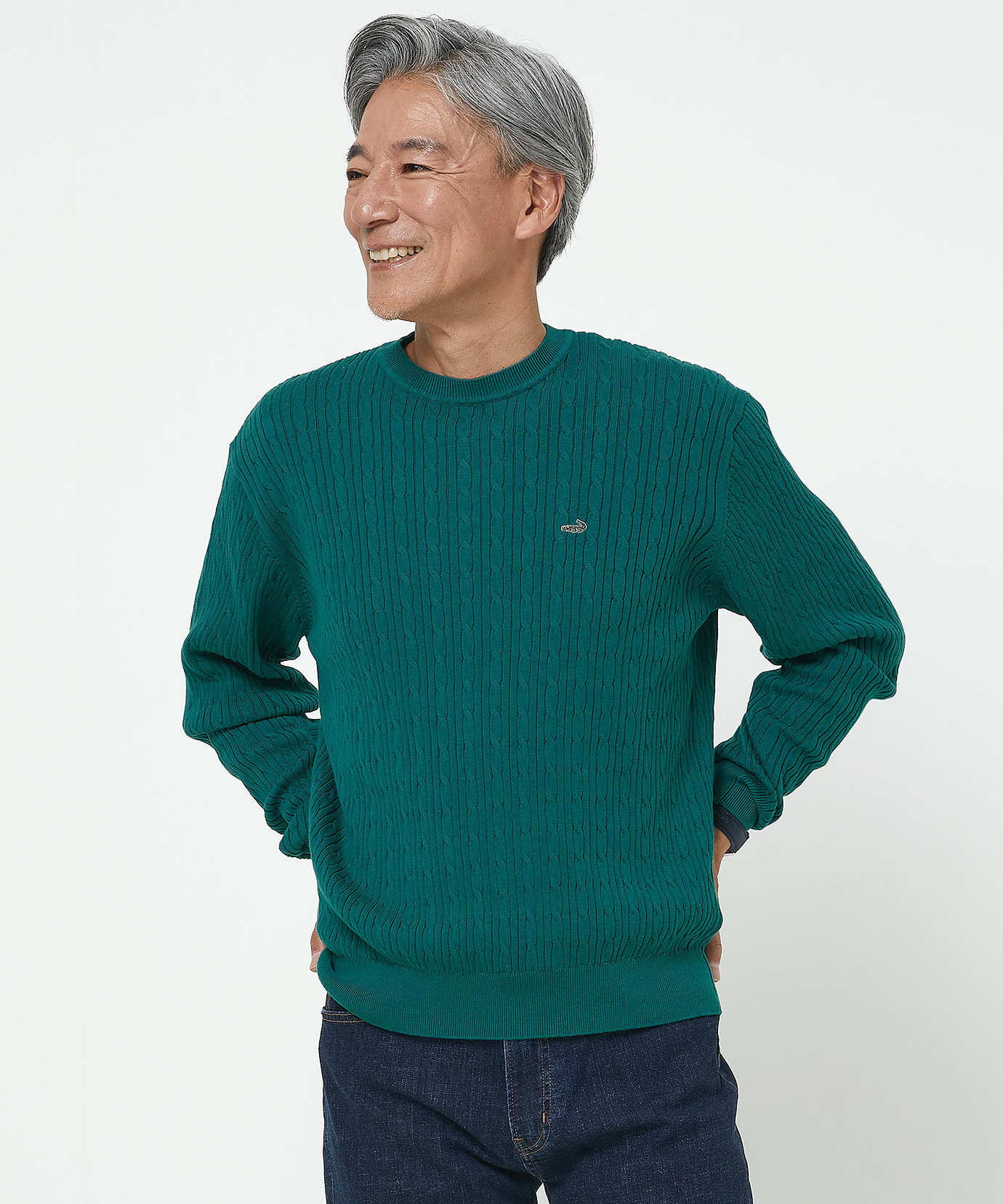 メンズ ハイゲージ ケーブル柄 クルーネック ニット【手洗いOK】通販