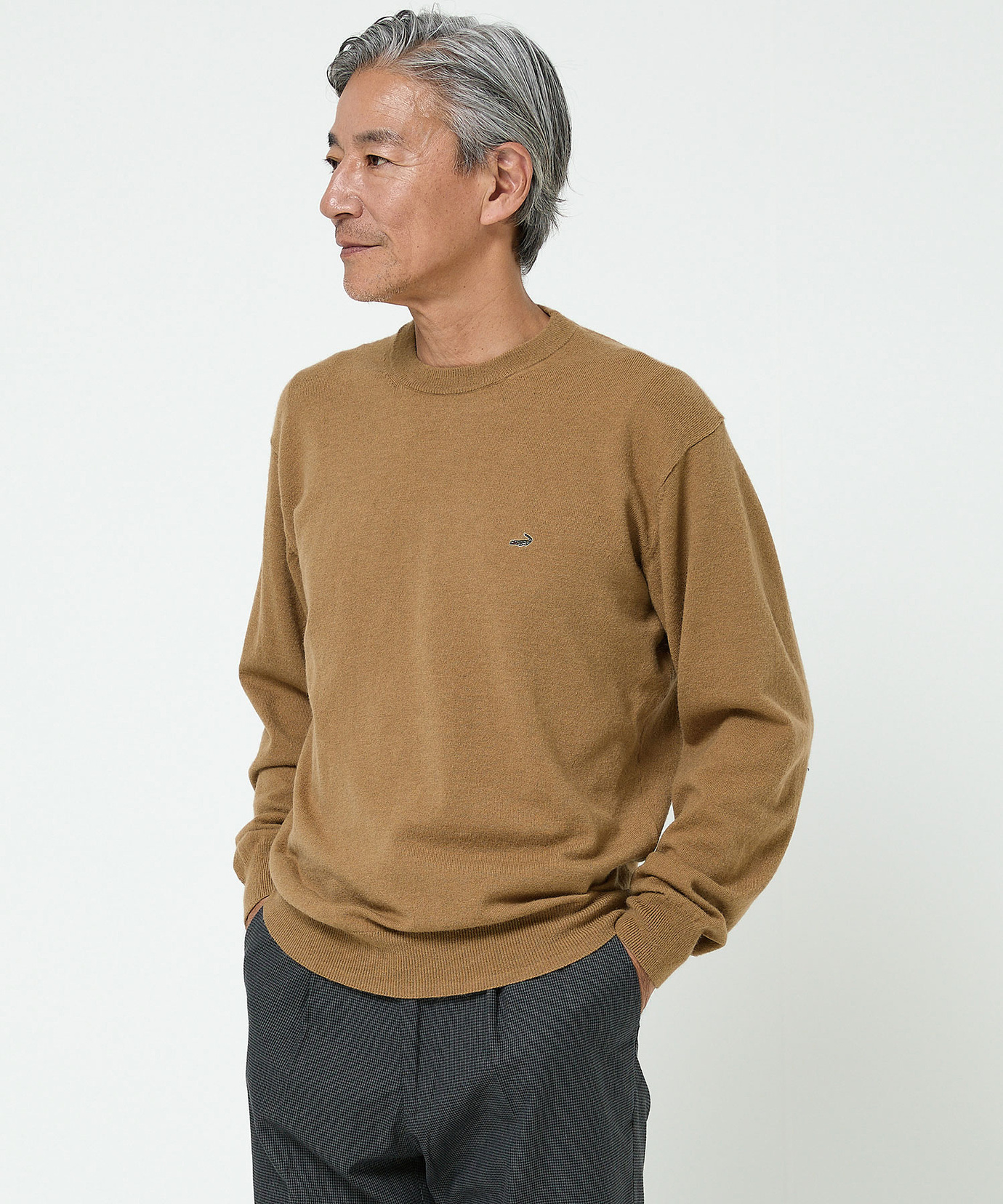 メンズ クルーネック ニット【一部店舗限定】通販 [1603-56399