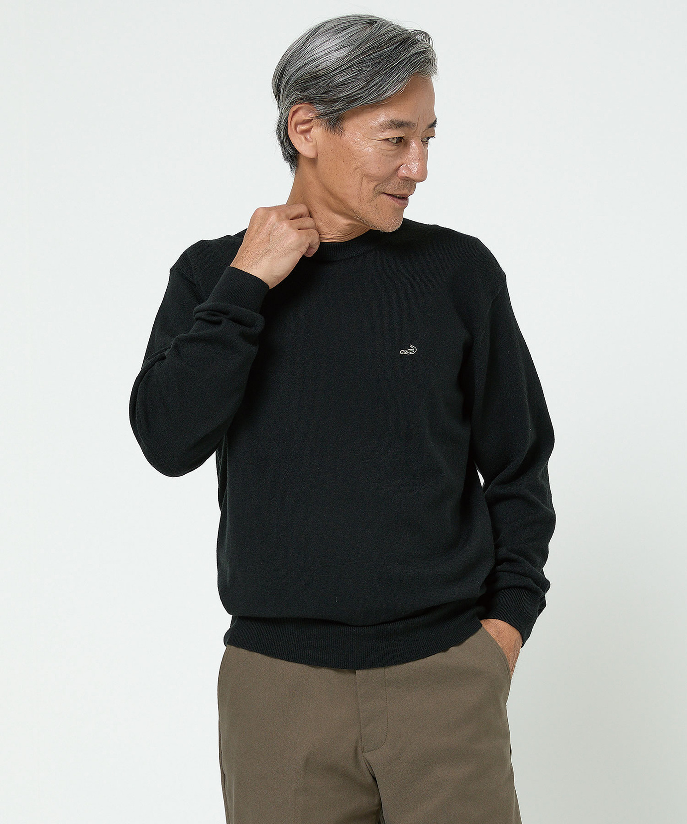 メンズ クルーネック ニット【一部店舗限定】通販 [1603-56399