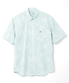 ライトグリーン