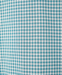 レディース ラウンドカラー ギンガムチェック柄 ブラウス通販 [2001