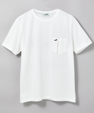 スノーコットン シャドーボーダー Tシャツ【接触冷感】