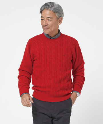 カシミヤ ケーブル プルオーバーニット【一部店舗限定】
