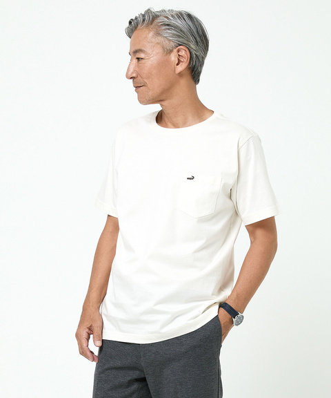 レディース 天竺 胸ポケット付き Tシャツ通販 [1602-55200