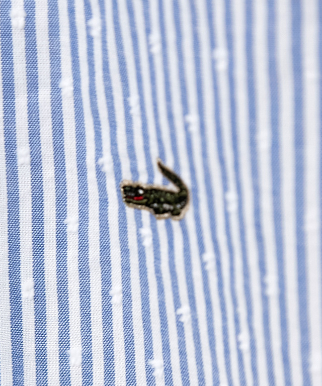 カットドビー バンドカラー ブラウス