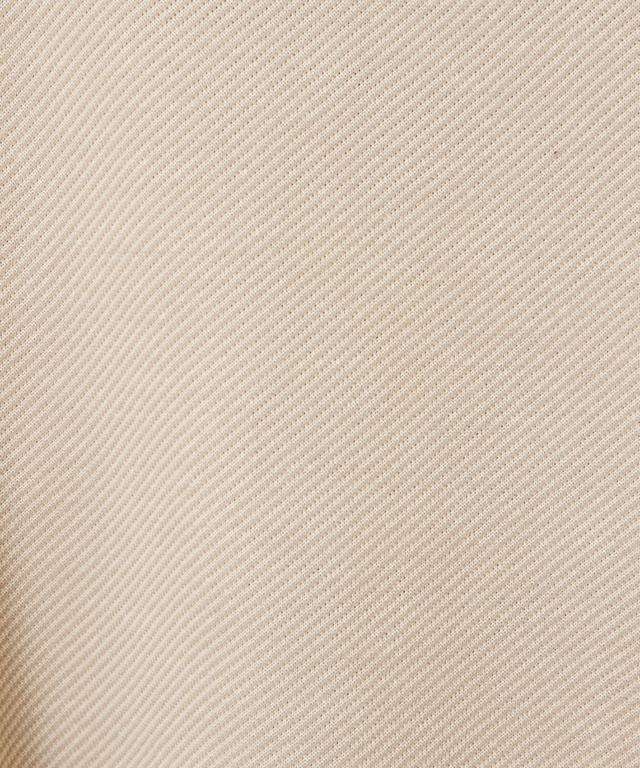 ツイルライク ハイネック カットソー【一部店舗限定】