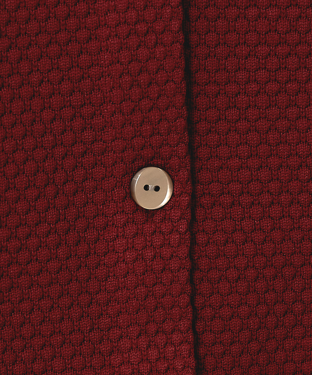 フレンチスリーブ ニット ベスト【手洗いOK】【一部店舗限定】