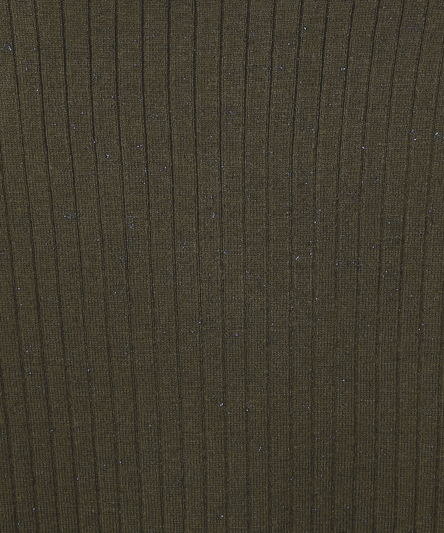 ラメ糸 ハイネック ニット【一部店舗限定】