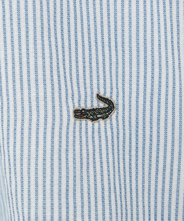 ドルマンスリーブ スキッパー ブラウス