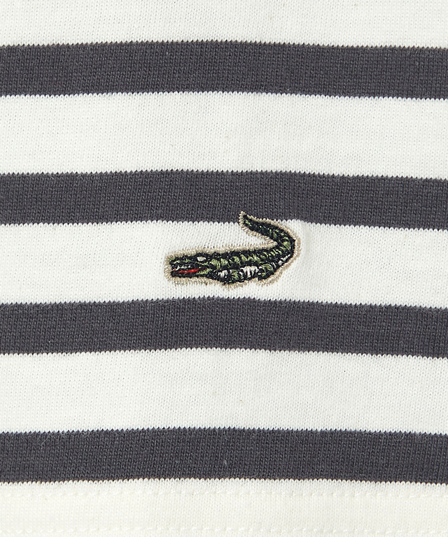 天竺 ボーダー Tシャツ