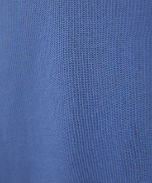 プレーティング天竺 プリント Tシャツ【オンラインショップ・一部店舗限定】