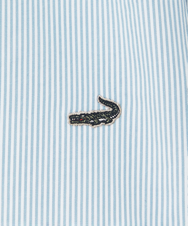 コットン バンドカラー チュニック【オンラインショップ・一部店舗限定】