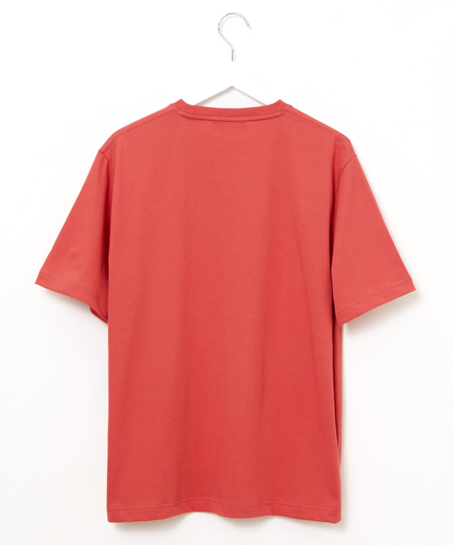 天竺 プリント Tシャツ
