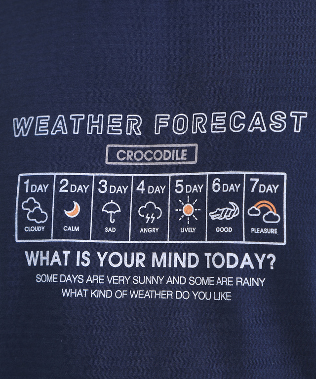 ウェザーモチーフTシャツ