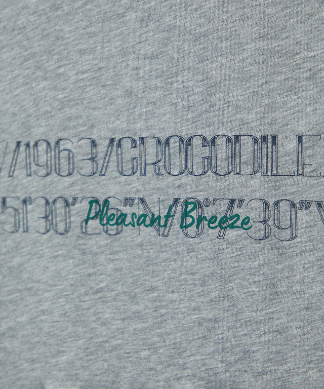 ロゴボーダー プレーティング Tシャツ