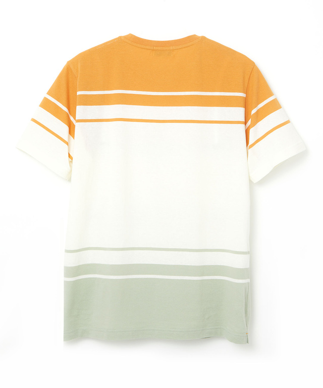 鹿の子調 パネルボーダー Tシャツ