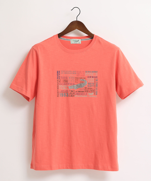 クロコダイル ワニアップリケTシャツ