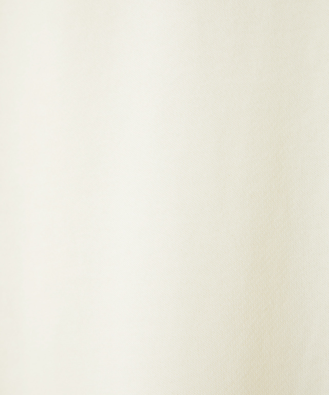 裏毛 ロゴジップ パーカー