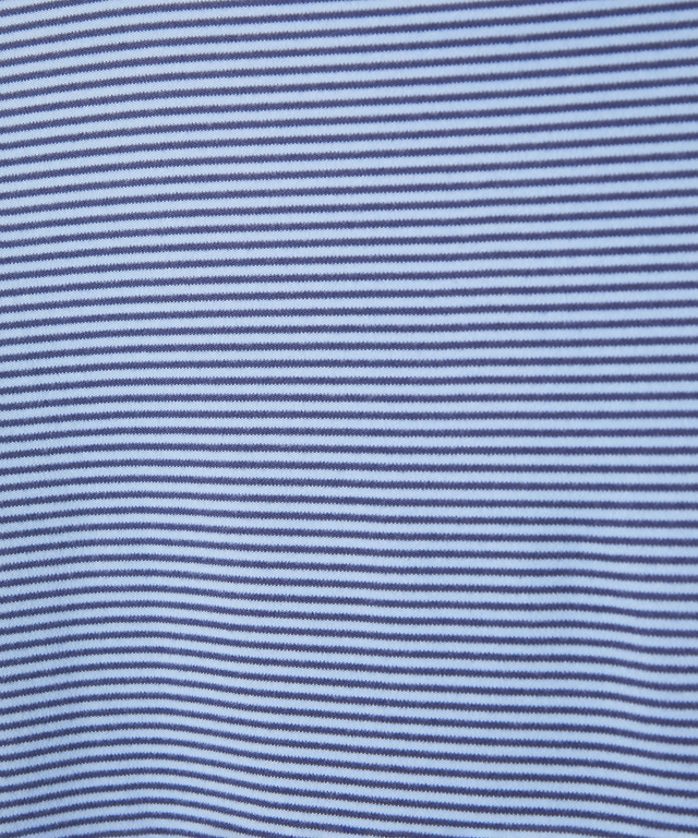 天竺 ボーダー ハイネック カットソー